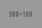 300×100